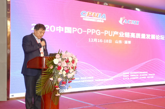 山東藍(lán)星東大有限公司總工程師、總經(jīng)理助理郭輝